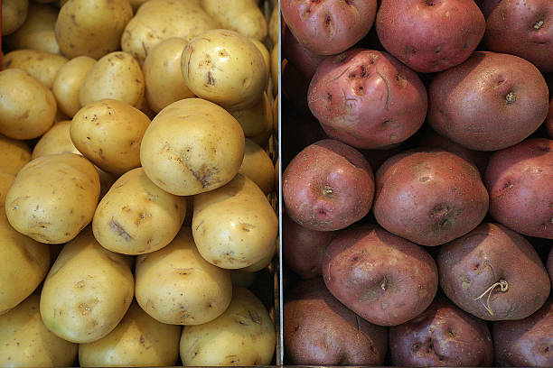 variedades de papas - french fries fast food french fries raw raw potato fotografías e imágenes de stock