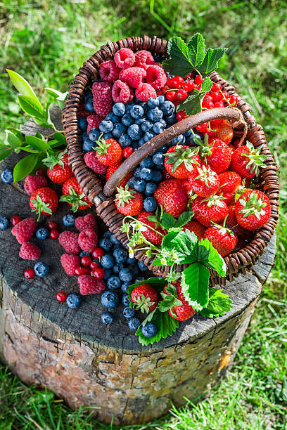 istock Ripe berries in garden 484130732