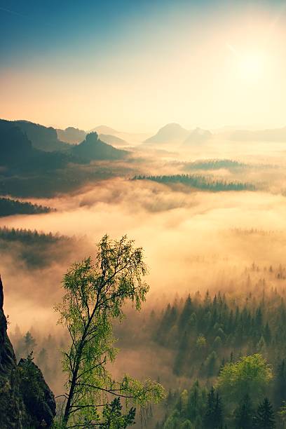istock Misty awakening inbeautiful hills. Peaks in mist 484131636