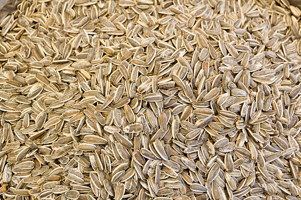istock sunflower seeds on market 484131720