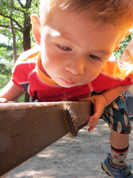Small child watching and observing catipillar in the wild