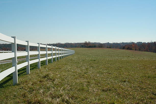 Fence fading off in the distance