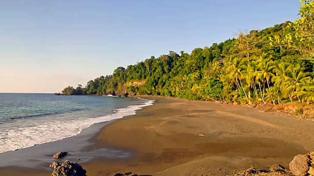 istock Tropical sand beach in Costa Rica 484138306
