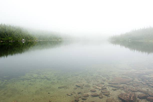 istock Pond in fog 484139542