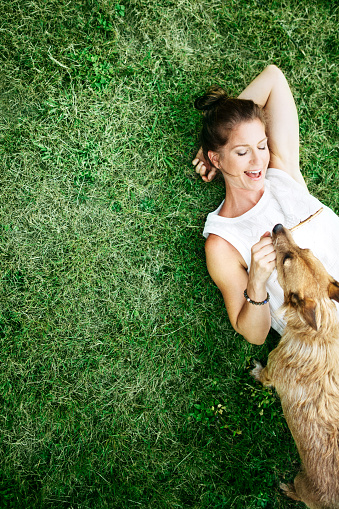 A mature Caucasian woman has relaxing fun playing with her dog in a beautiful park setting.  They rest in the grass, playing tug of war with a stick the dog has in his mouth.  Shot from overhead looking down.  Unique composition gives plenty room for copy space on the grass.  Vertical.