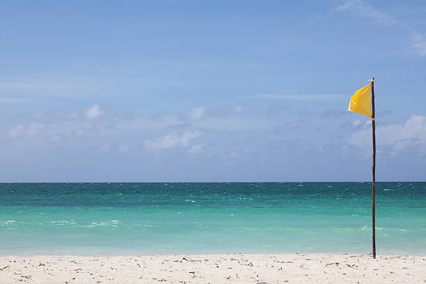 istock Yellow flag stands on the beach. 484154210