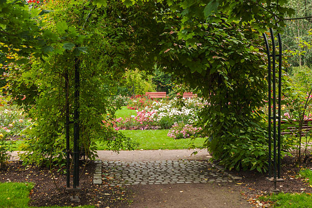 istock Rose garden in Gustav Vigeland's park Oslo 484156220