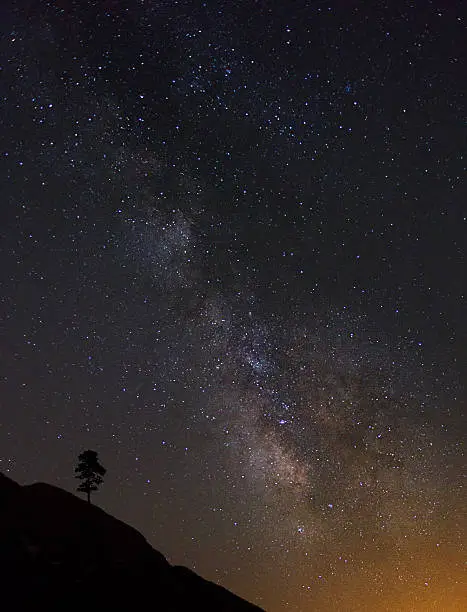 Milky Way with Tree on Mountain