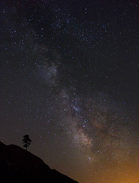 via láctea com árvore - lagoon nebula imagens e fotografias de stock