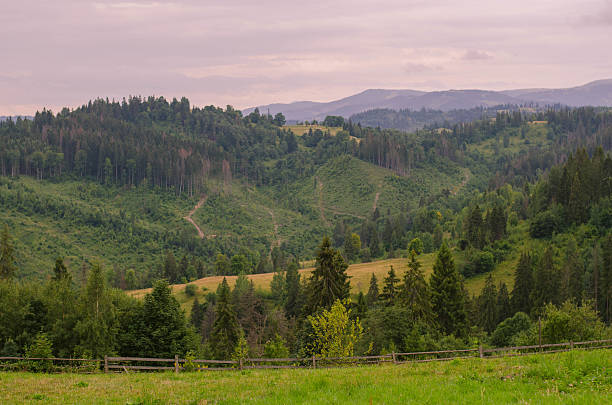istock The Carpathian mountains landscape view with hills and clouds 484162276