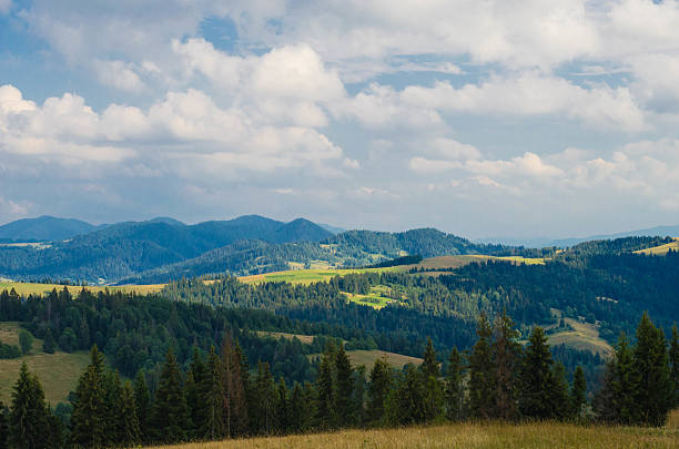 istock The Carpathian mountains landscape view with hills and clouds 484163016
