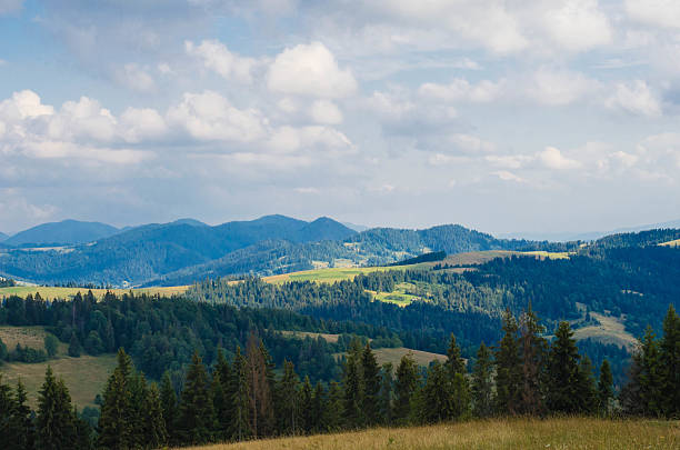 istock The Carpathian mountains landscape view with hills and clouds 484163018
