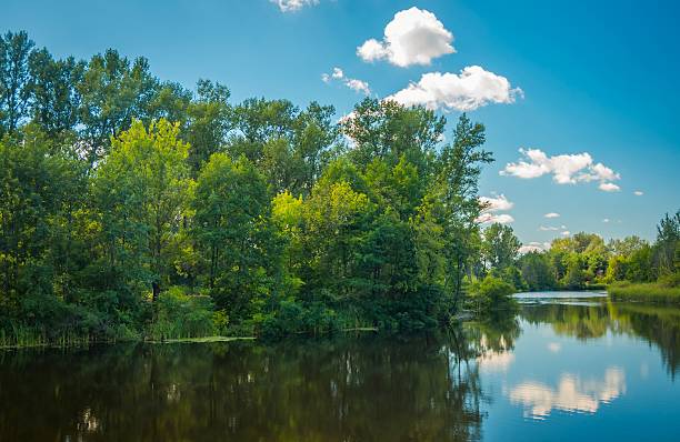 istock Sunny day on the quiet river 484163278