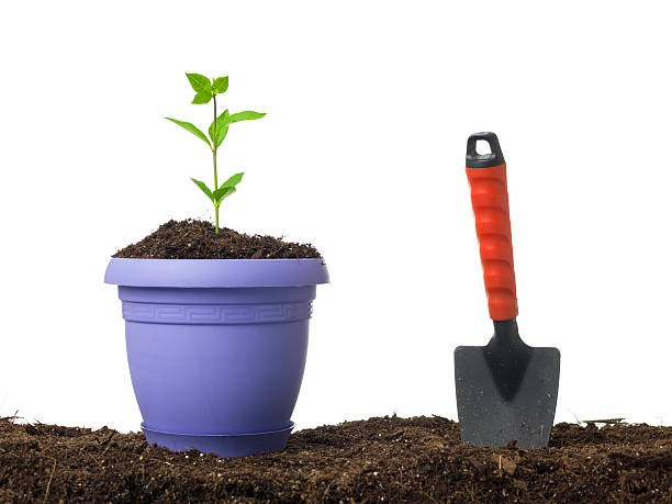 istock Flower pot and shovel on dirt 484163863