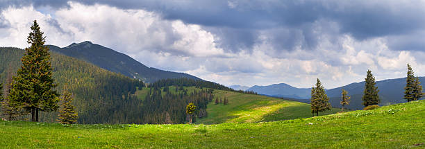 istock Summer landscape in the mountains 484164147