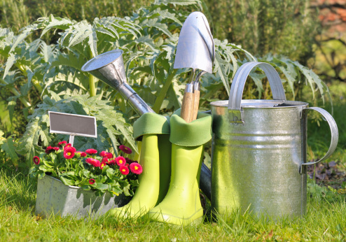 tools, watering can and gardening boots in the garden