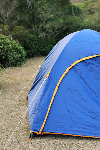 istock Close up of a Camping Tent 484164655