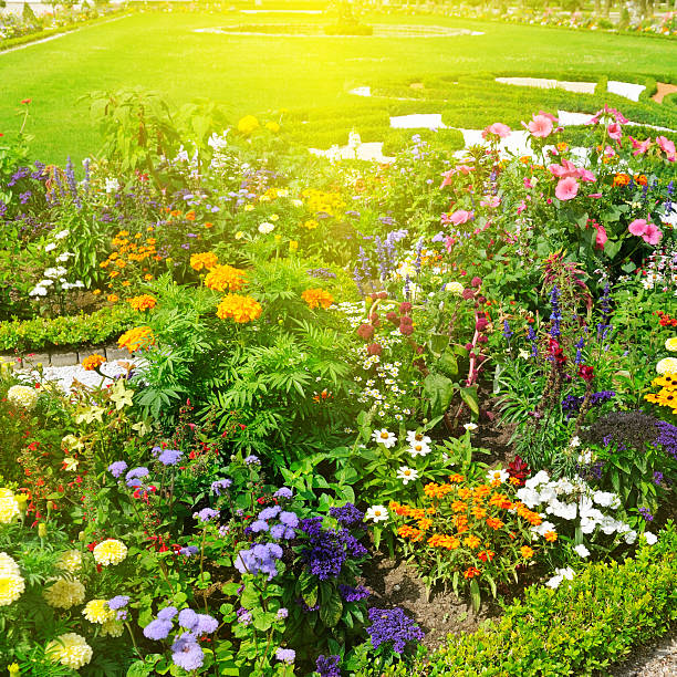 istock flower garden and sunrise 484165605
