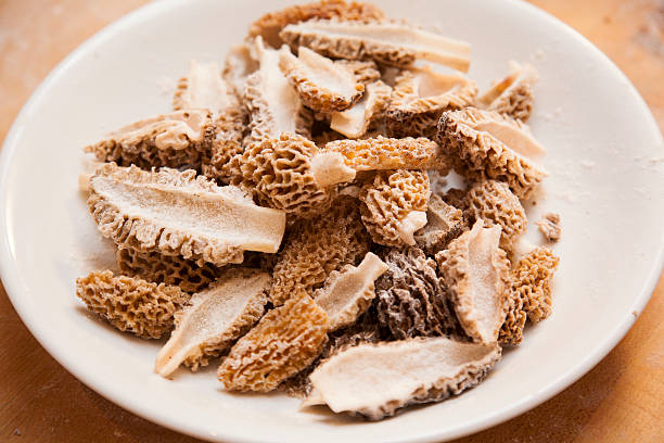 Morel mushroom isolated on white background with clipping path