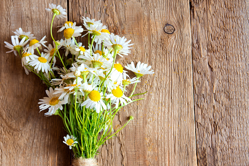 Daisies bouquet over rustic wooden background, texture