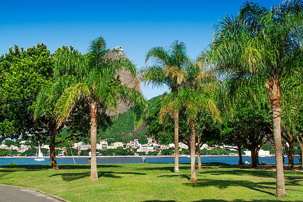 istock Flamengo Park in Rio de Janeiro 484168704