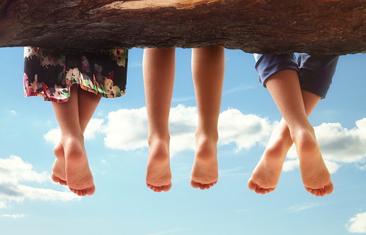 Three kids sitting in a tree dangling their feet against a blue sky in summer concept for family, friends, carefree and vacations