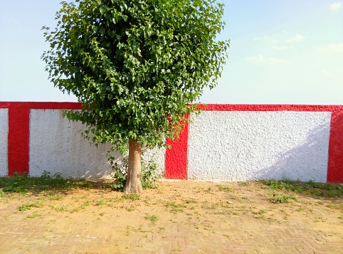 I clicked this pic in my summer vacations while travelling from hostel to home by train. The tree was the only thing on that small railway station.  