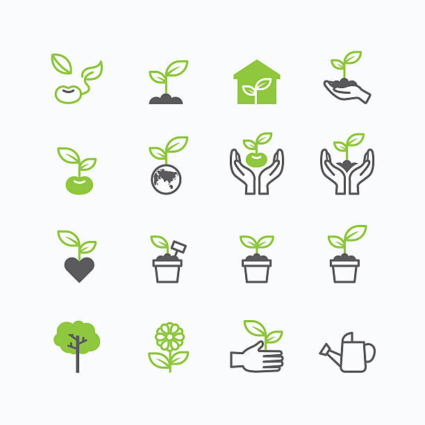 растение растет и зеленый линии икон�ки плоский дизайн вектор - leaf human hand computer icon symbol stock illustrations