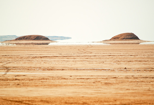 Camel resting on red sand Wadi Rum desert closeup detail, blurred local Bedouin man in background