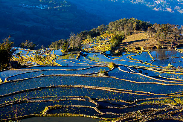 yuanyang com terraço campos - hani imagens e fotografias de stock