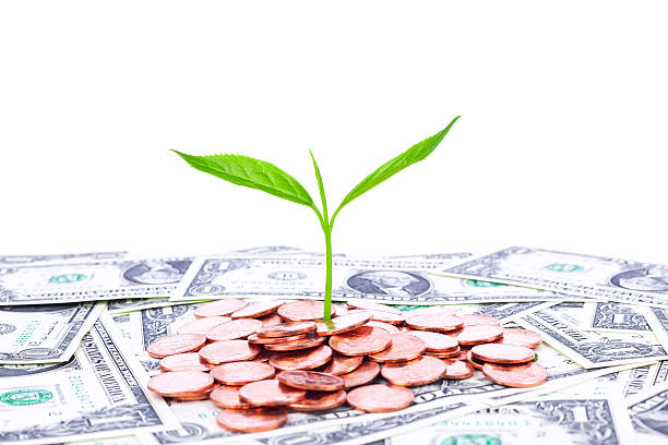 istock investment plan:coin and growing plant on dollar currency 484169827