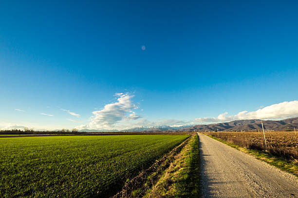 istock evening on a country road 484170445