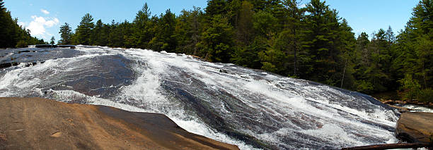 chutes bridal veil à dupont state forest, en caroline du nord - dupont state forest photos et images de collection