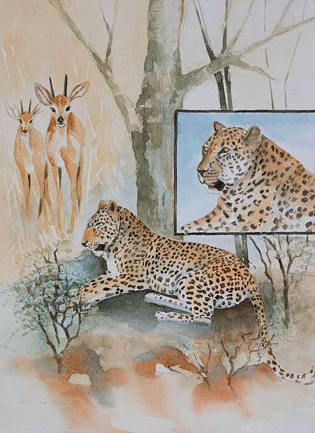 istock Original watercolour, leopards and their prey 484170954