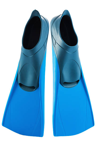 istock Scuba flippers isolated on white background 484187814