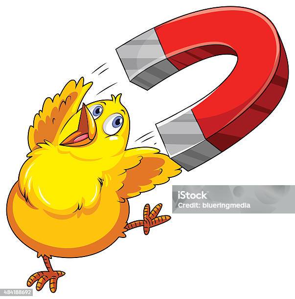 Chick Magnet Stock - Download Image - Agriculture, Clip Art - iStock