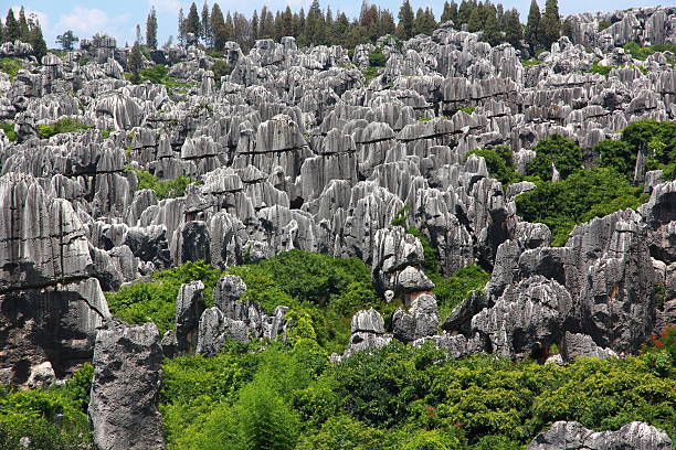 stone forest national park na província de yunnan - the stone forest - fotografias e filmes do acervo