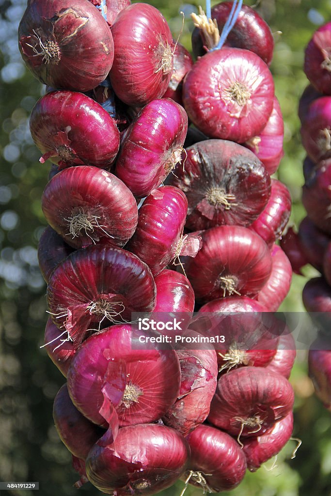 Il pacchetto di cipolla rossa - Foto stock royalty-free di Bulbo