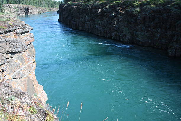Yukon River - Whitehorse, Yukon The Yukon River in Miles Canyon, Whitehorse is a nice shade of blue caused by the silt it carries. yukon river canyon yukon whitehorse stock pictures, royalty-free photos & images