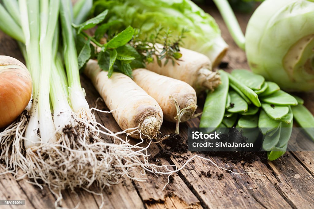 vegetable harvest freshness from garden vegetables such as green onion, onion, parsley root, green pea  on wooden board some dirt  2015 Stock Photo