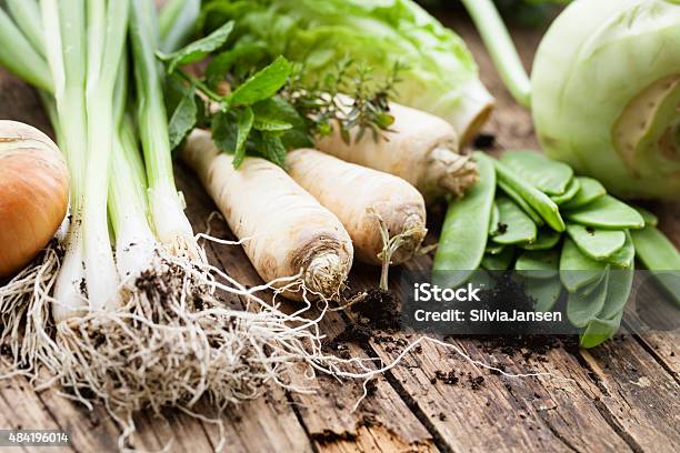 Vegetable Harvest Freshness From Garden Stock Photo - Download Image Now - 2015, Bell Pepper, Brown