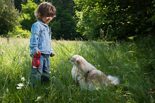 istock Littel boy with his pet 484203704