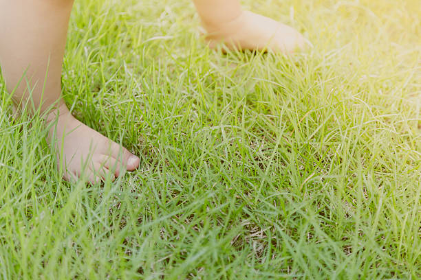 istock Baby feet in grass 484204254