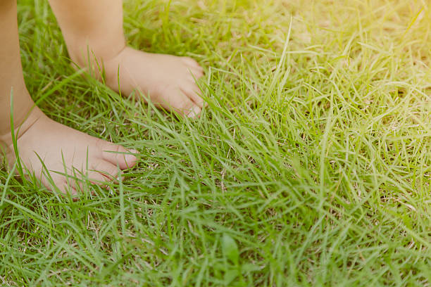 istock Baby feet in grass 484204304