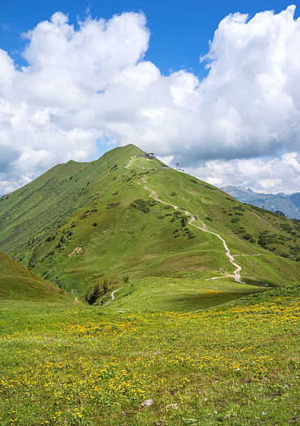 Hiking trail to the Fellhorn in the summery Alps Summery Alps: Look at the ridge trail to the Fellhorn past the mountain station of the Fellhornbahn. Taken amidst green and blooming meadows above the Kleinwalsertal. ridgeway stock pictures, royalty-free photos & images