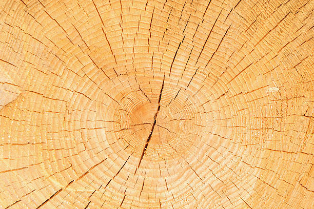 fondo de madera natural. - cross shape cross rough wood fotografías e imágenes de stock