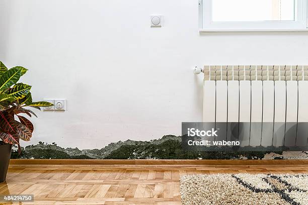 Schimmel Und Feuchtigkeit Anstauen An Der Wand Eines Modernen Hauses Stockfoto und mehr Bilder von Schimmel - Pilz