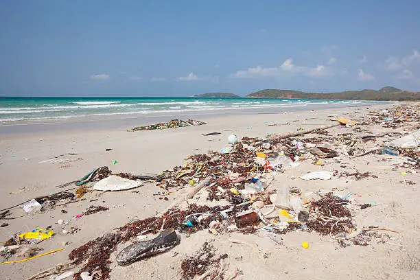 Photo of Rubbish washed up on the shore on the beach