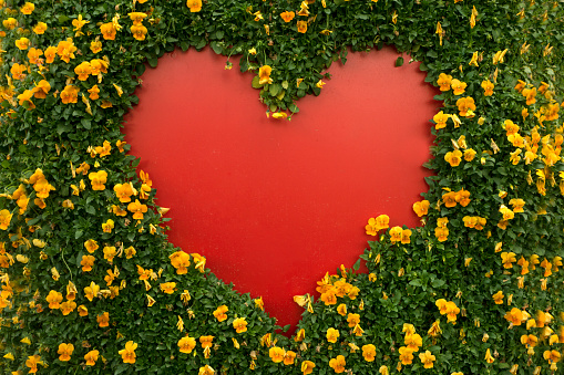 Heart Shape with Flowers