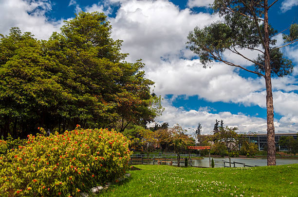 istock Green Park and Lake 484221369